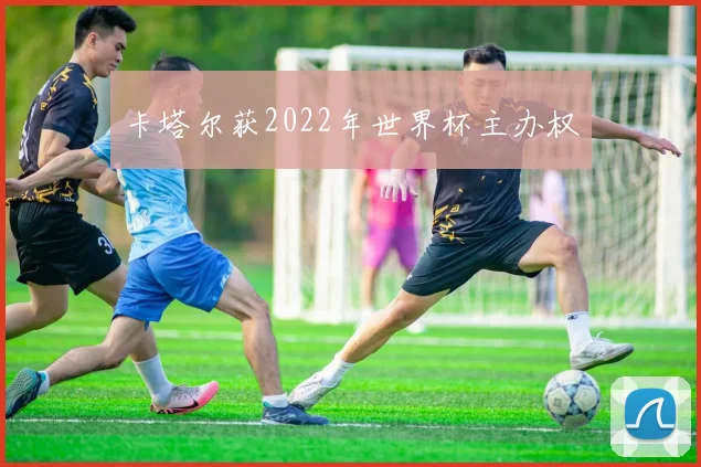 卡塔尔获2022年世界杯主办权