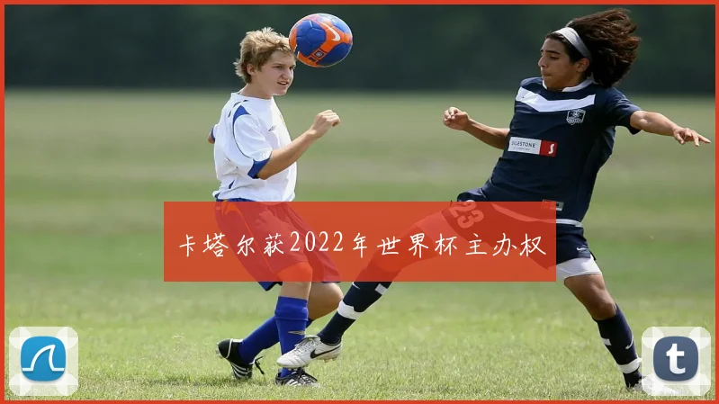 卡塔尔获2022年世界杯主办权