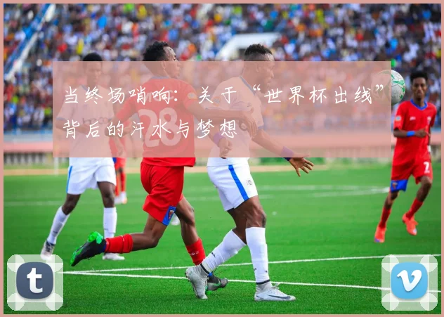 当终场哨响:关于“世界杯出线”背后的汗水与梦想