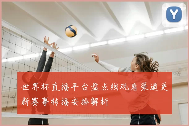 世界杯直播平台盘点线观看渠道更新赛事转播安排解析