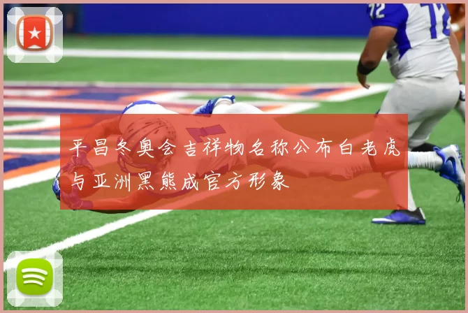 平昌冬奥会吉祥物名称公布白老虎与亚洲黑熊成官方形象