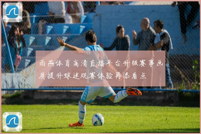 雨燕体育高清直播平台升级赛事画质提升球迷观赛体验再添看点