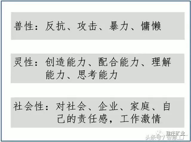 三肖三期必出特肖资料_结论释义解释落实_网页版v267.507