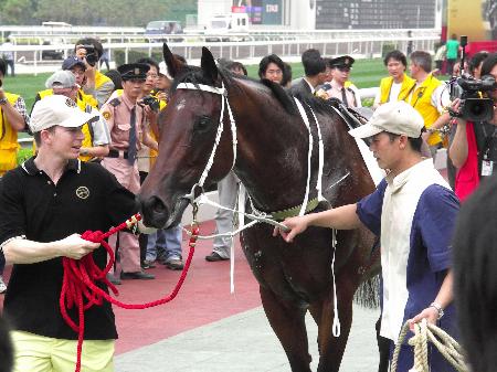 香港特马王中之王_结论释义解释落实_实用版437.737